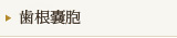 歯根嚢胞